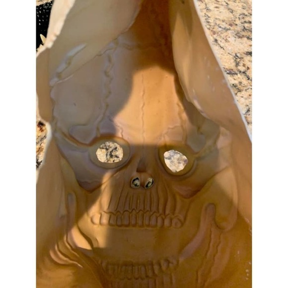 RUBIES Costume SKELETON Mask Scary Creepy One Size - Picture 2 of 5